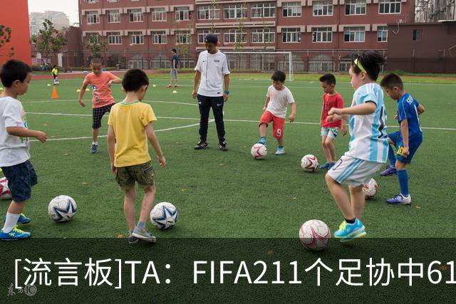 [流言板]TA：FIFA211个足协中61%财务状况不明，资金流向也难以追踪